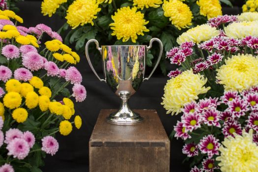 An Entertainer at the Shrewsbury Flower show