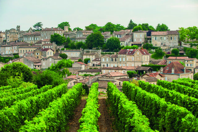 Saint-Emilion Vineyards, nr Bordeaux