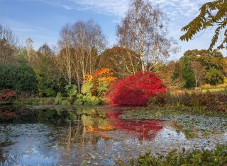 RHS Garden Rosemoor, Devon - Autumn colour by the lake © RHS, Clive Nichols