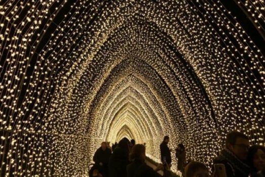 Royal Botanic Gardens, Edinburgh, Scotland - At Christmas time