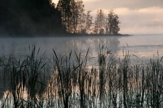 Finland - Heinola Nature Summer night © VisitLahti