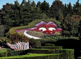 Alice’s Curious Labyrinth