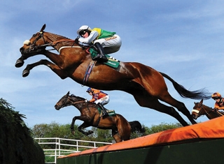 Aintree, The Jockey Club