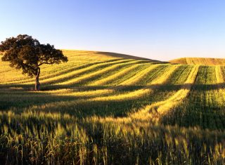 Alentejo, Portugal