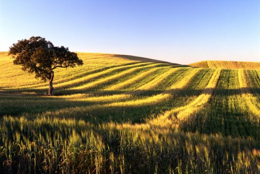 Alentejo, Portugal