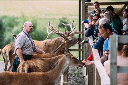 Highland Safari, Aberfeldy, Scotland