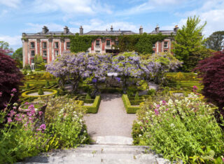 Bantry House & Gardens, Garden, Flowers