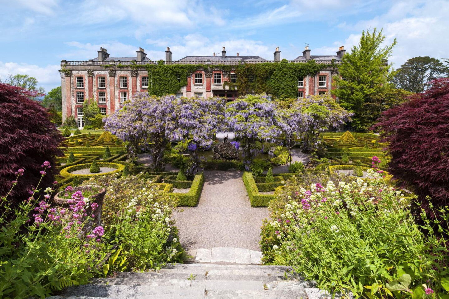 Bantry House & Gardens, Garden, Flowers