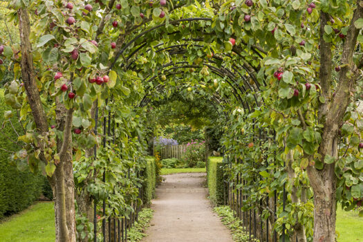 Barnsdale Gardens