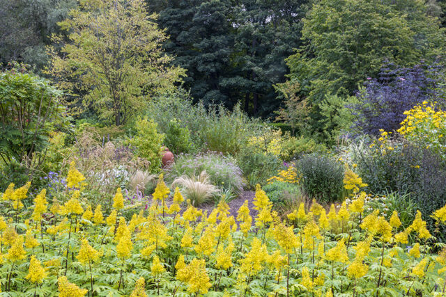 Gardens, plants, flowers