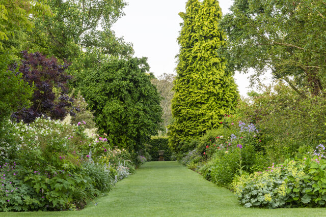 Gardens, trees, plants, bushes