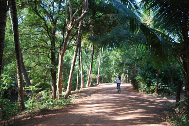 Cambodia, Battambang, cycling tour, bike tour