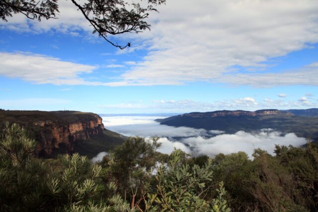Blue Mountains, Clouds, Sky, Trees