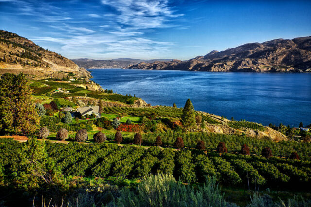 British Columbia, Vineyard, Lake
