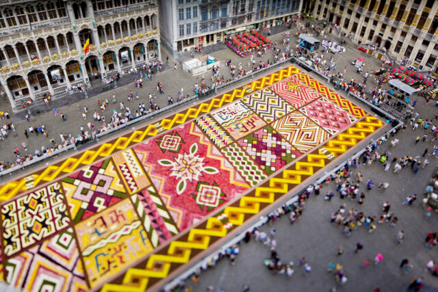 Brussels, Belgium - Flower Carpet - Grand Place
