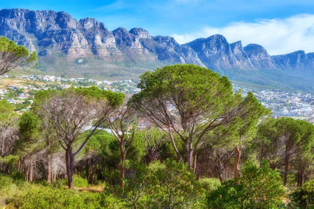 Cape Town, South Africa Table Mountain
