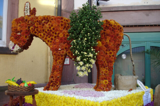 'Blossom Donkey' display at Chrysanthemum Festival in Lahr