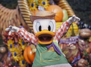 Donald at Disney's Halloween Festival