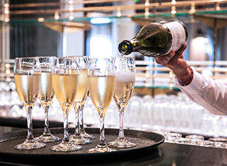 Ambience - Ambassador Cruise Line - Botanical Lounge