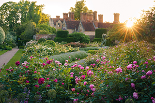 Rose Garden at Borde Hill