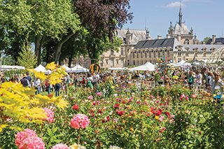 Chantilly Flower Show
