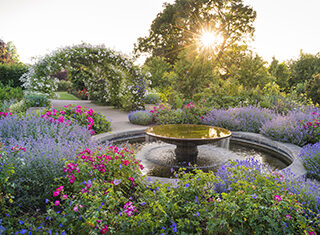 The Cottage Garden in summer, RHS Wisley