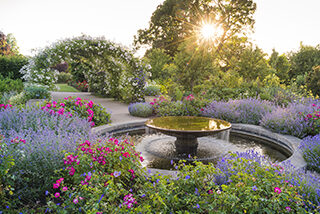 The Cottage Garden in summer, RHS Wisley
