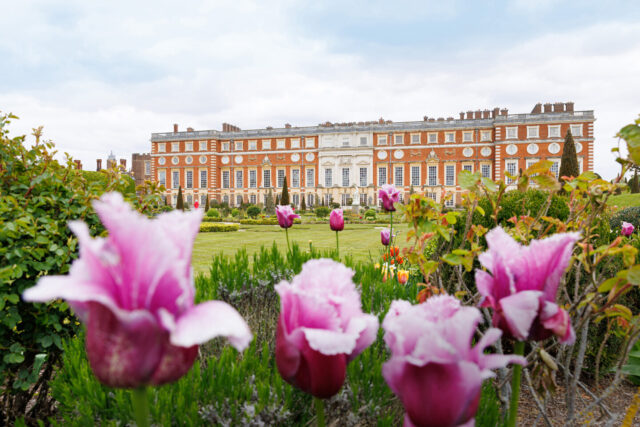 Hampton Court Palace, Gardens, South Front