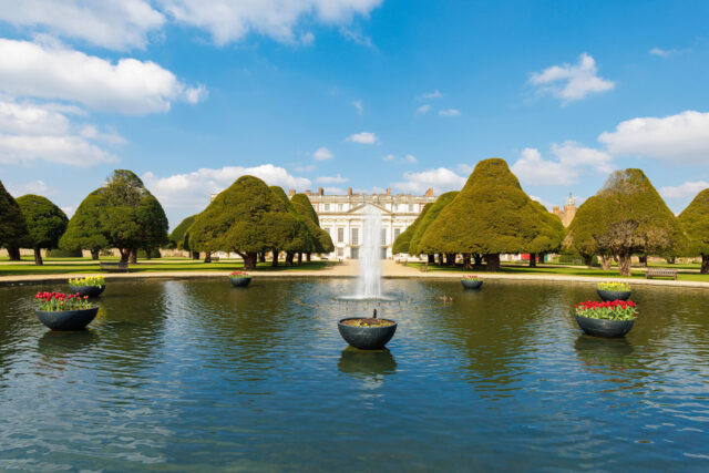 Hampton Court Palace, London, Gardens, Tulips