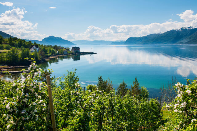 Norwegian Fjords