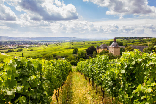 Hesse, Germany - Wine-growing district Rheingau