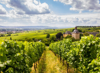 Hesse, Germany - Wine-growing district Rheingau