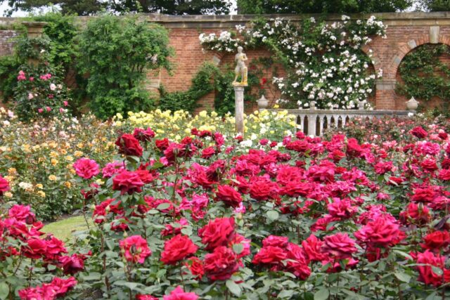 Hever Castle, Gardens