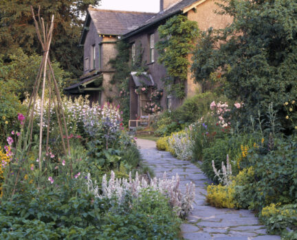 Herbaceous borders along the path