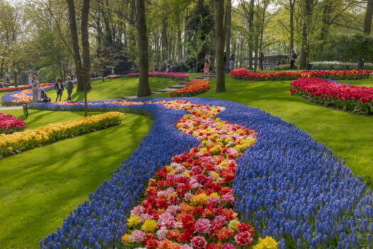 Holland, Netherlands, Keukenhof Gardens