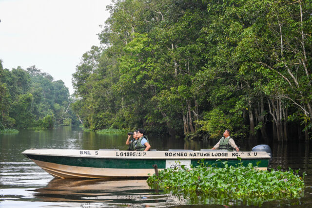 Malaysia, Sabah, Borneo, Boat, River