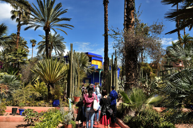 Majorelle Gardens, Marrakech