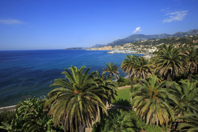 Coastline, Beach, Palm trees