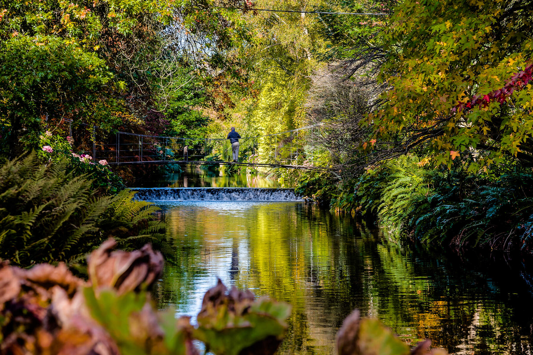 Azelea Walk, Mount Usher , group travel