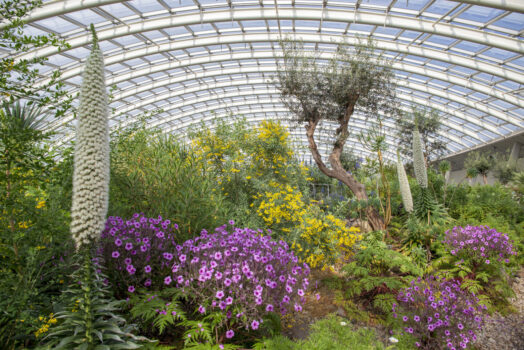 National Botanic Gardens of Wales