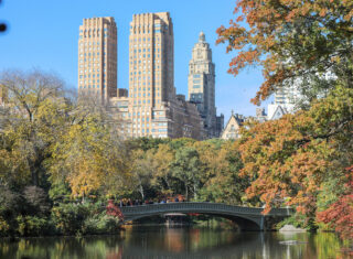 Central Park, New York