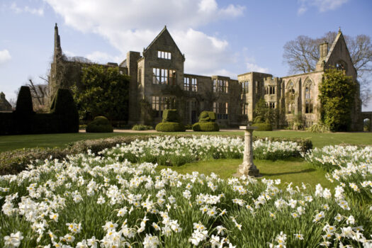 The ruins from the Main Lawn in April at Nymans, West Sussex