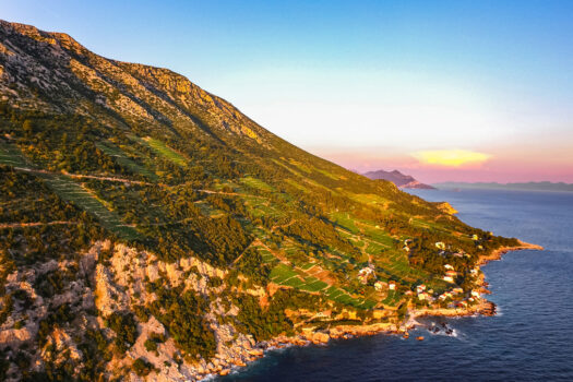 Dalmatian coast, Peljesac vineyards, group travel