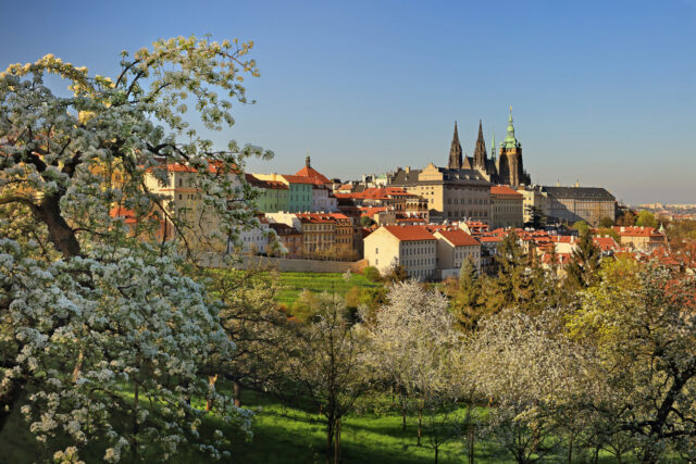 Prague, Castle, Tree foliage