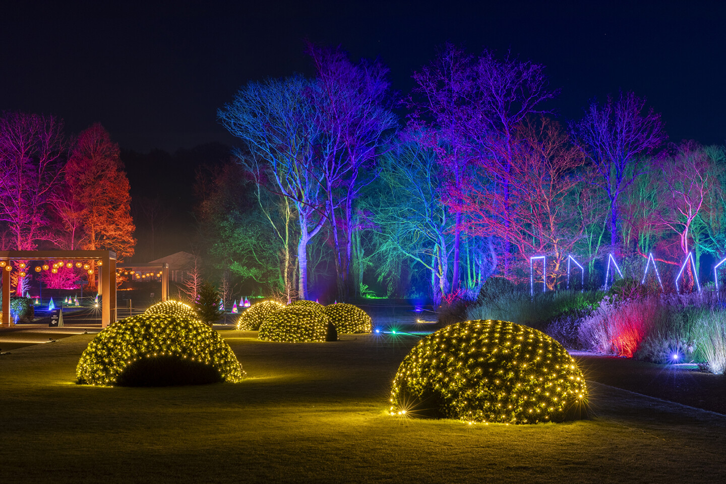 Glow, Bridgewater, Garden, Lights