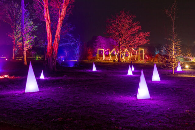 Glow, Bridgewater, Garden, Lights