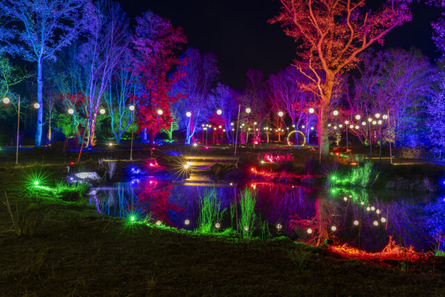 Glow, Bridgewater, Gardens, Lights