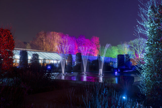 Glow, Bridgewater, Garden, Lights