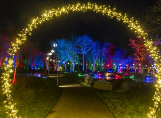 Glow, Bridgewater, Garden, Lights