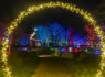 Glow, Bridgewater, Garden, Lights